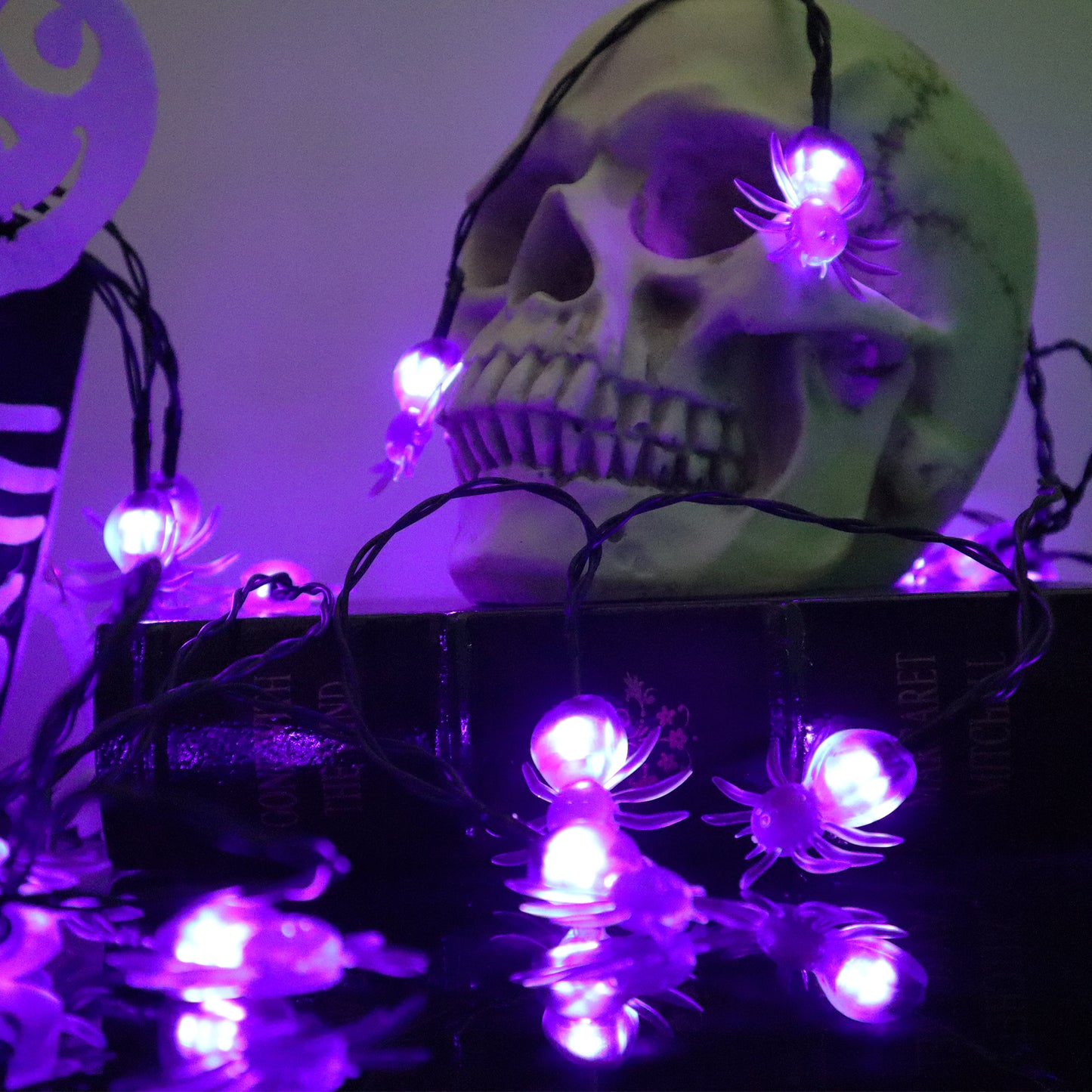 16.5 FT 30 LED Halloween Spider String Lights
