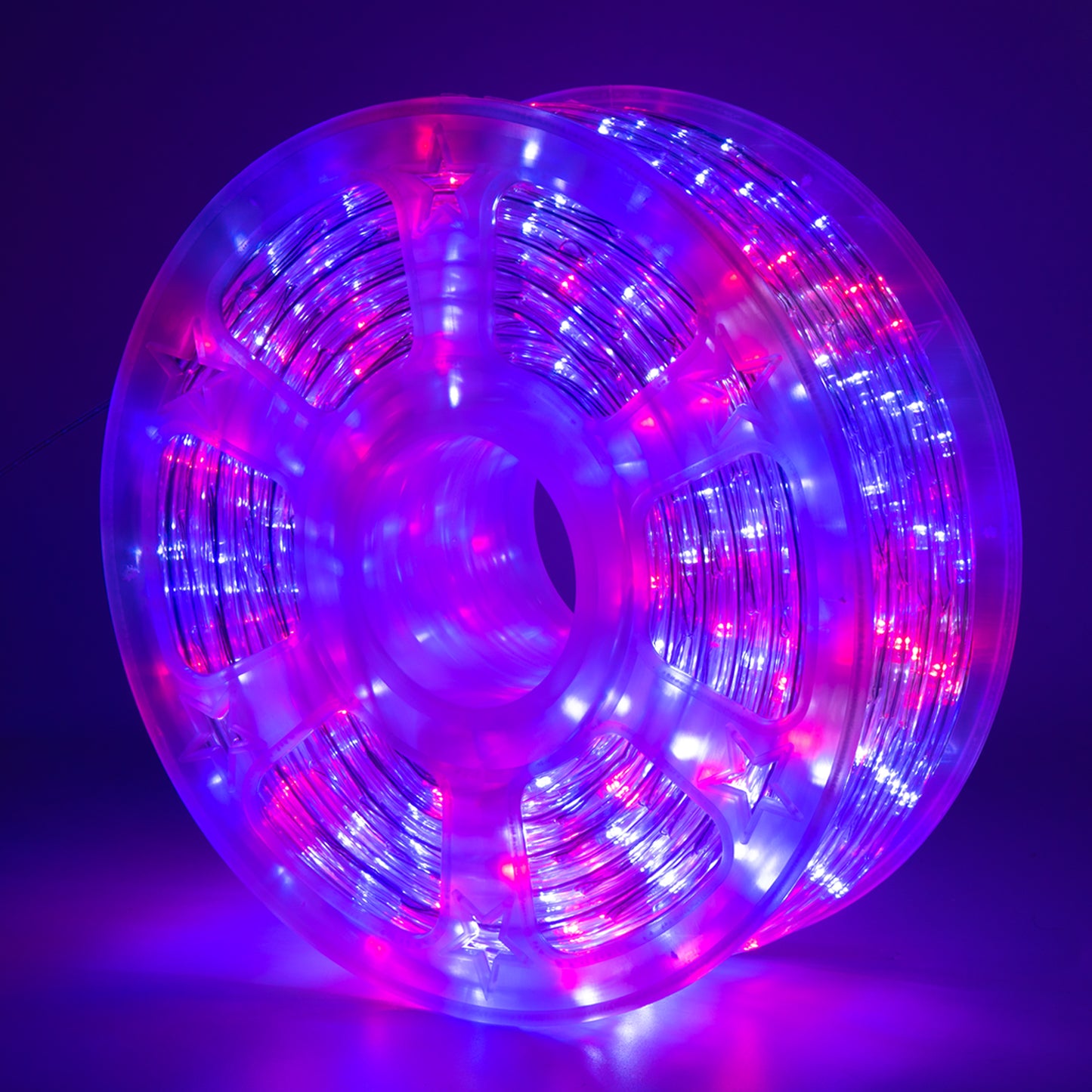 100Ft Red & Blue Rope String Lights