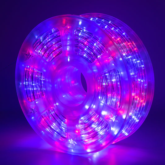 100Ft Red & Blue Rope String Lights